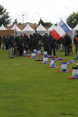 Remise des Prix 027.JPG - CHIENPLUS.COM